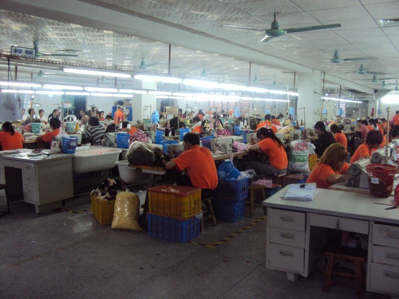 Chine Dongguan City Fuwang Toys Co., Ltd Profil de la société