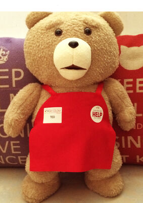 Le polyester rouge-brun de beaux de Ted d'ours de bébé jouets de peluche acceptent l'ODM d'OEM