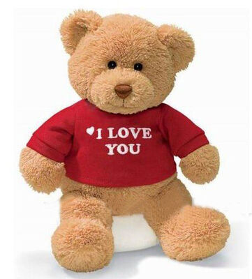 La peluche personnalisée joue l'ours de nounours de famille de trois Brown avec le T-shirt