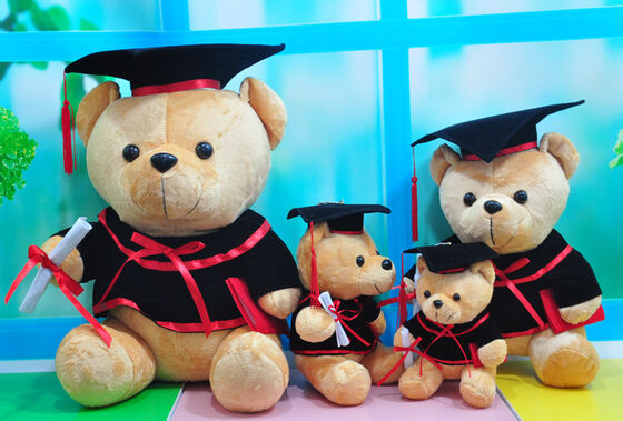 Ours de nounours de docteur Graduation Plush pour la célébration 30cm d'obtention du diplôme
