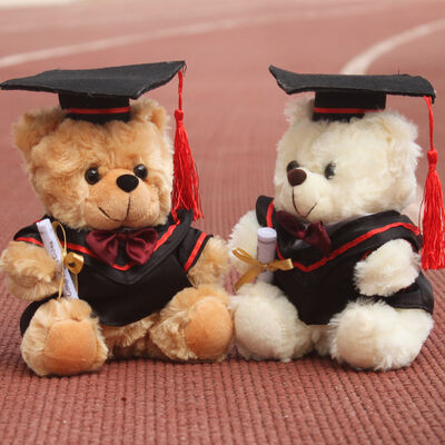 Ours de nounours de docteur Graduation Plush pour la célébration 30cm d'obtention du diplôme