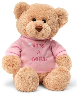 La mode et la peluche rose d'ours de nounours joue le matériel mou de mode