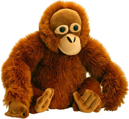 la peluche sauvage mignonne de singe de 20cm joue écologique personnalisée